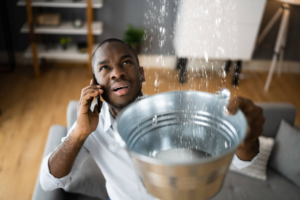 Best 24/7 water damage repair  in South Lebanon, OH