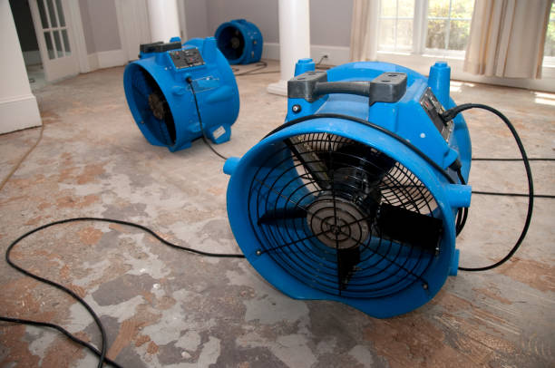 Best Fire Damage Restoration  in South Lebanon, OH