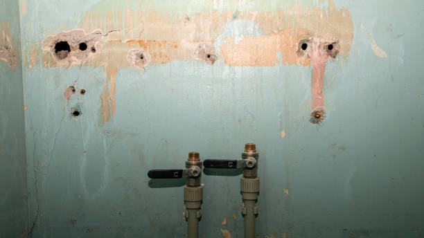 Best Flood restoration services  in South Lebanon, OH