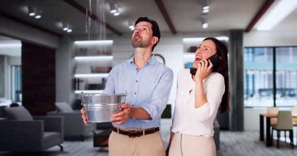 Best Flooded house restoration  in South Lebanon, OH