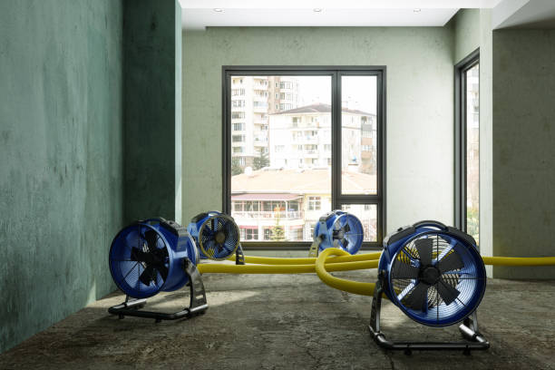 Best 24-hour water damage restoration  in South Lebanon, OH